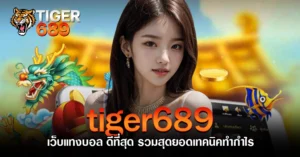 tiger689 เว็บแทงบอล ดีที่สุด รวมสุดยอดเทคนิคทำกำไร