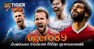 tiger689 tiger689 เว็บพนันบอล ต่างประเทศ ที่ดีที่สุด ดูราคาบอลสดฟรี