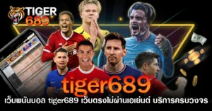 เว็บพนันบอล tiger689 เว็บตรงไม่ผ่านเอเย่นต์ บริการครบวงจร