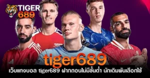 เว็บแทงบอล tiger689 ฝากถอนไม่มีขั้นต่ำ นักเดิมพันเลือกใช้
