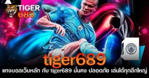 แทงบอลเว็บหลัก กับ tiger689 มั่นคง ปลอดภัย เล่นได้ทุกลีกใหญ่